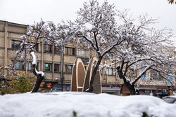 وزش باد و ورود سامانه بارشی به خراسان رضوی