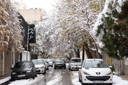 مشهد فردا سفیدپوش می شود