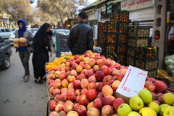 اسب افسارگسیخته گرانی در بازار یلدای خراسان شمالی تاخت
