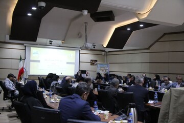 سروش: برنامه‌های جوانی جمعیت با شتاب دنبال شود