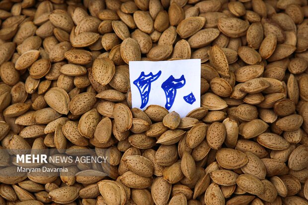 بازار خرید شب یلدا در بجنورد