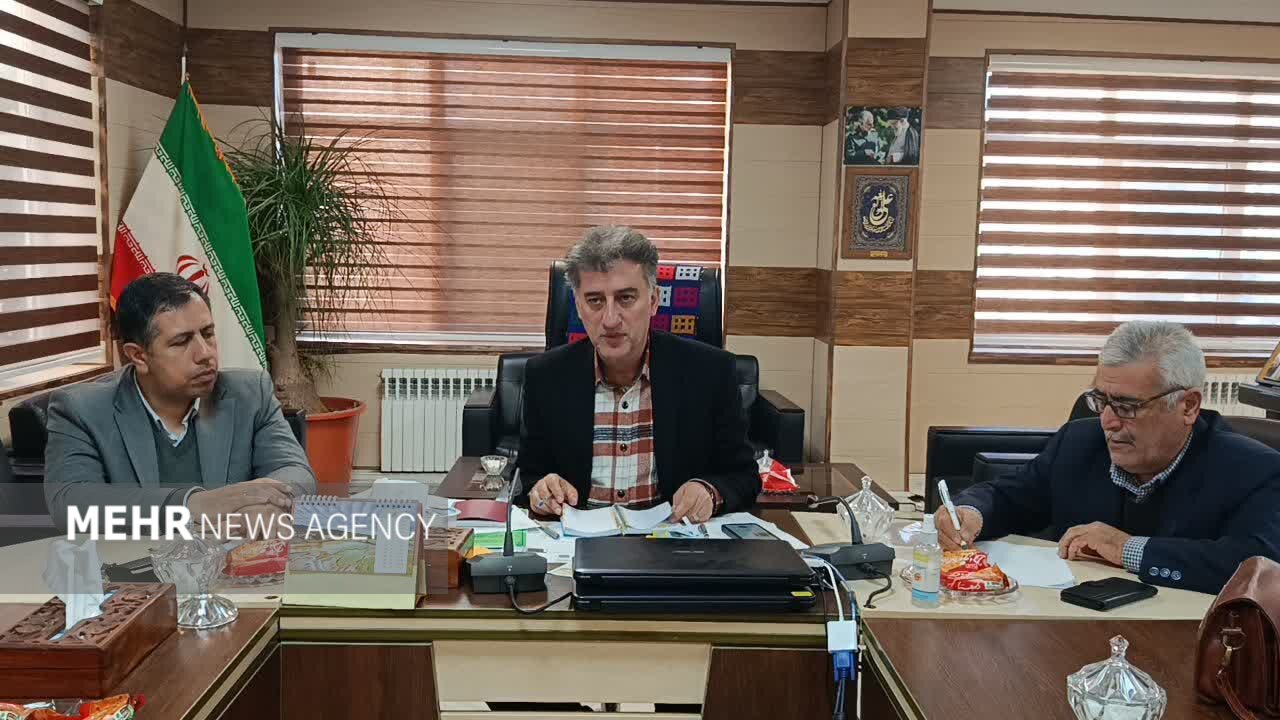 مرادی: مردم در تامین کالاهای اساسی شب یلدا مشکلی نخواهند داشت مرادی: مردم در تامین کالاهای اساسی شب یلدا مشکلی نخواهند داشت