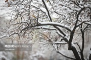 ورود سامانه بارشی به کشور؛ بارش برف و کولاک در راه است