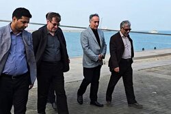 حسینی: کنترل دقیق نهاده‌های دامی پیش از ورود به چرخه تولید ضرورت دارد