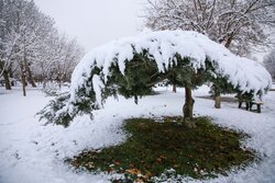 بارش برف در ارتفاعات استان سمنان؛ جاده‌ها لغزنده می‌شود