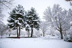 سحر طبيعة مازندران الايرانية المكسوة بالثلوج