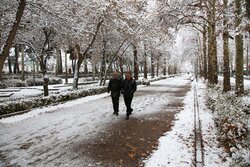 داداشی: بارندگی پاییز خراسان شمالی ۵۵ درصد کاهش یافت