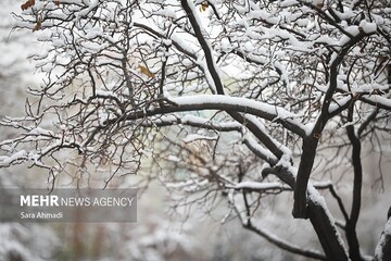 ورود سامانه بارشی به کشور؛ بارش برف و کولاک در راه است