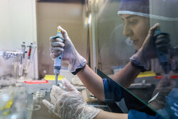 ۲۸۰۰ زوج نابارور در مازندران تحت پوشش بیمه سلامت هستند