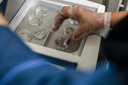 اینفوگرافیک؛ جهش علمی و درمانی دانشگاه علوم پزشکی کرمانشاه