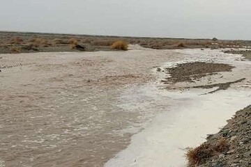 تلاش بی‌وقفه هلال احمر برای یافتن ۳ مفقودی در سیلاب «سرپری» کهگیلویه