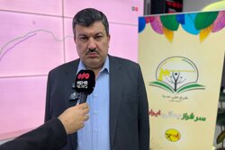 مدیرعامل توزیع برق تهران: مصرف خانگی برق تا ۲۰ درصد کاهش می‌یابد