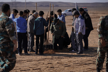 کاشت ۱۰۰۰ اصله نهال به مناسبت شب یلدا در نواران قم