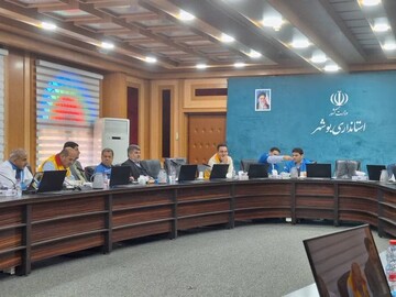 حشمتی: سامانه بارشی ۱۳۱ میلیارد تومان خسارت به شبکه برق بوشهر وارد کرد