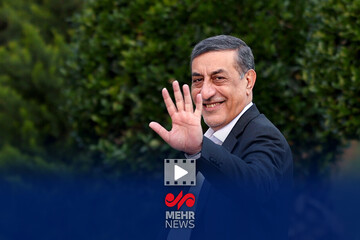 شعرخوانی معاون اجرایی رئیس‌جمهور برای پزشکیان