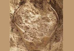 کوزه مربوط به دوره ساسانی در دشتستان کشف شد