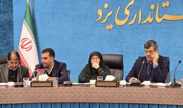 انصاری: ۴۰ معدن فعال در مناطق حفاظت‌شده یزد وجود دارد