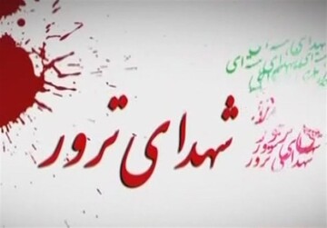 پیش‌نشست همایش بین‌المللی قربانیان ترور در شیراز برگزار شد