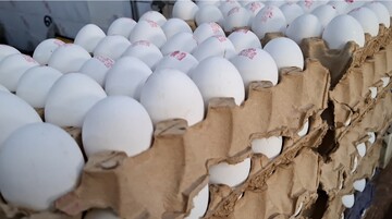 «تخم‌مرغ» چگونه قدرت خرید مردم را بلعید؟