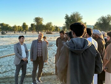 خسارت سنگین سیلاب به اراضی کشاورزی بندرجاسک