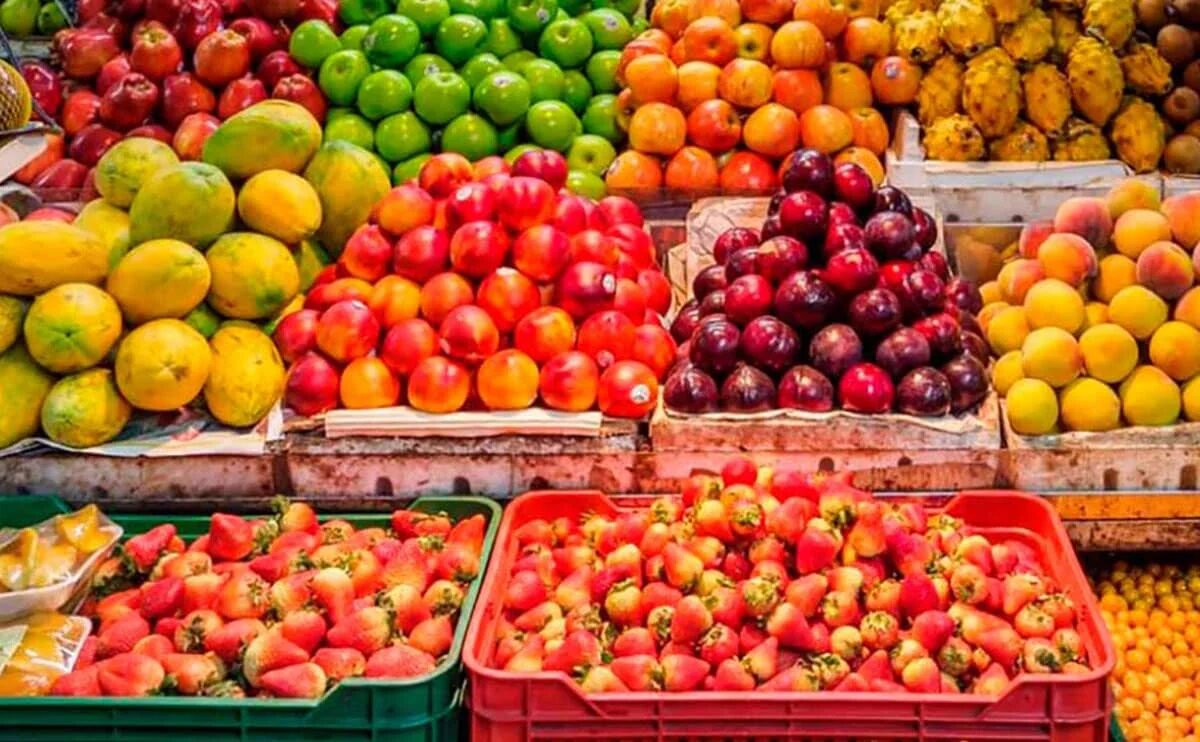 سازمان،ميادين،تجارت،ميوه،تهران،خصوصي،مديريت،خارجي،شهرداري،مس ...