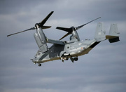 US moves additional forces to Caribbean: Media