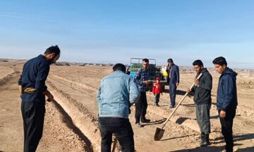 فرهادی: احیا و اصلاح مراتع در ۲ هزار هکتار از اراضی دهلران اجرا می شود