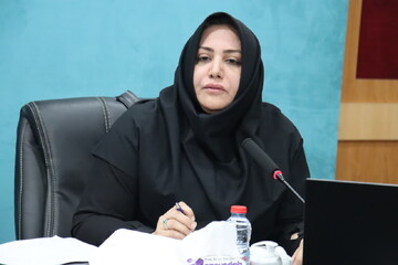 اسکندری: مناسب‌سازی ۶۶ دستگاه اجرایی استان بوشهر ارزیابی شد