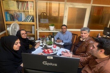 ۳۳ استاندارد شغلی ویژه افراد دارای معلولیت تصویب شد