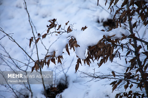 برف در ارتفاعات گلستان