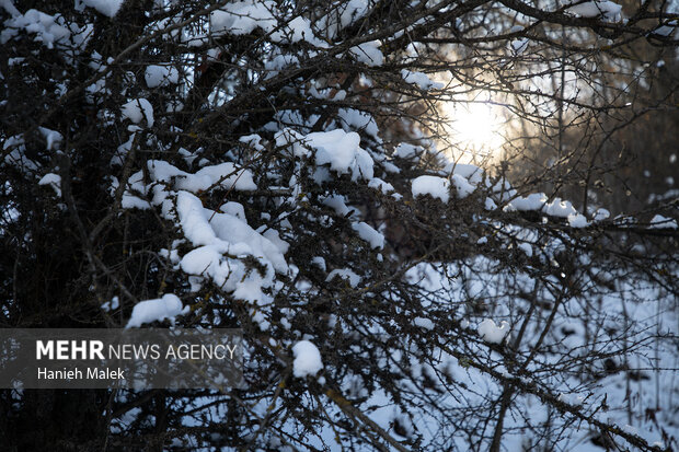 برف در ارتفاعات گلستان