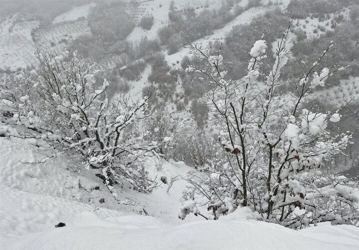 بارش برف در شهر خنجین