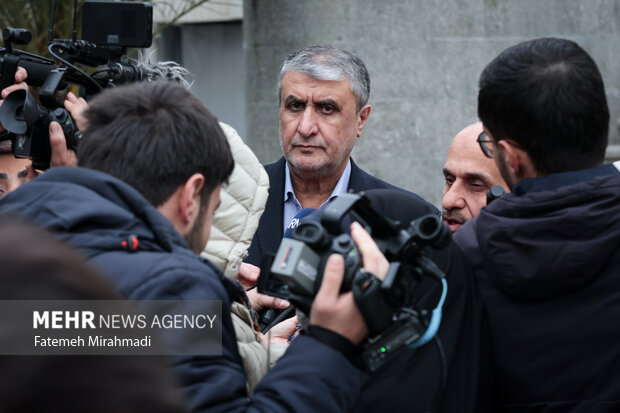 محمد اسلامی معاون رئیس‌جمهور و رئیس سازمان انرژی اتمی در حاشیه جلسه هیئت دولت