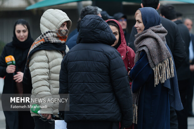 حاشیه جلسه هیئت دولت