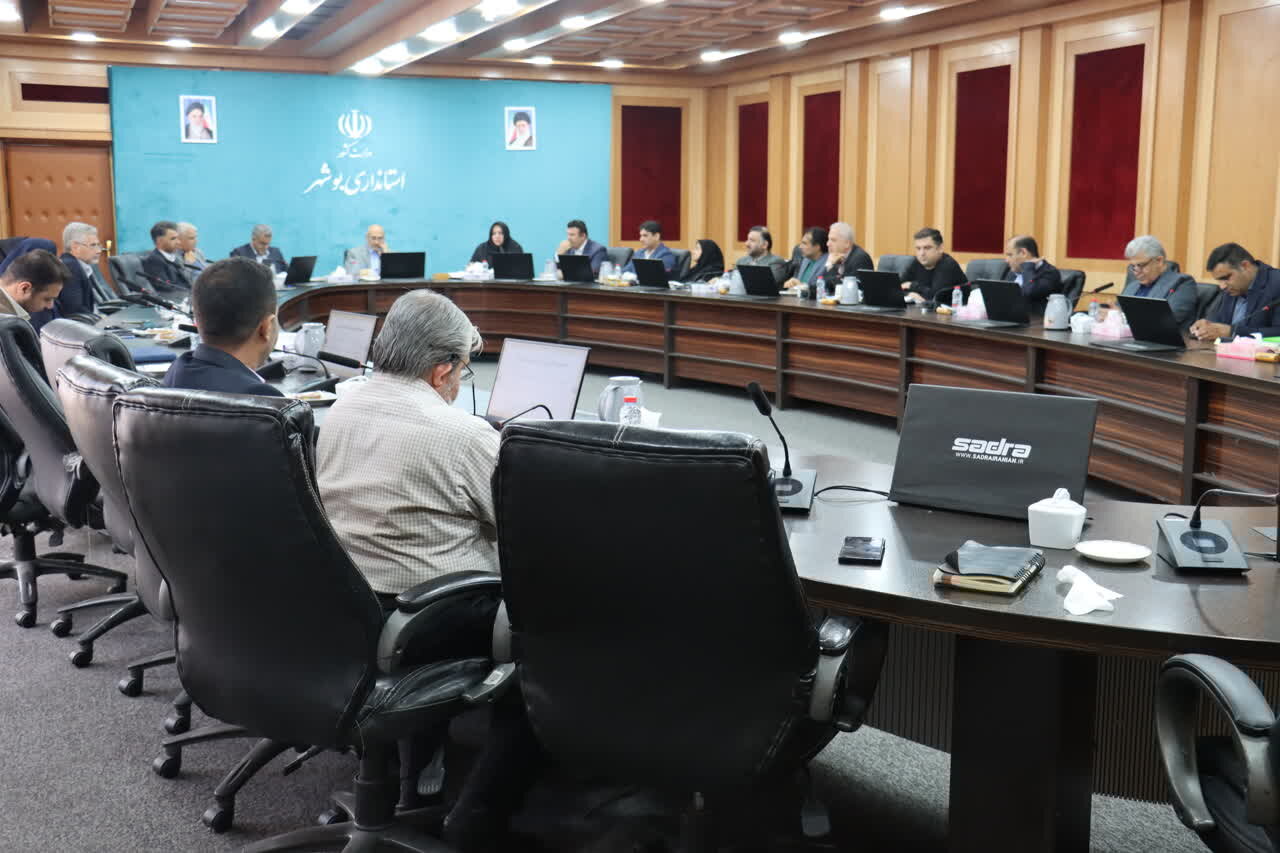 اسکندری: مناسب‌سازی ۶۶ دستگاه اجرایی استان بوشهر ارزیابی شد