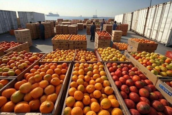 تسریع در ترخیص کالاهای فاسدشدنی و انبارهای گمرکات کردستان ضروری است تسریع در ترخیص کالاهای فاسدشدنی و انبارهای گمرکات کردستان ضروری است