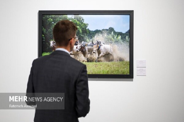 مسابقه،عكاسان،خبري،برگزار،دوره،حضور،روبل،دري،آثار،جوايز،عكاس ...