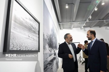 انطلاق الدورة الثانية عشرة من مسابقة أندريه ستينين الدولية للتصوير الصحفي