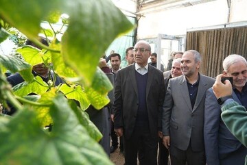 استاندار کرمانشاه از واحد دانش‌بنیان نهال‌کاری بازدید کرد