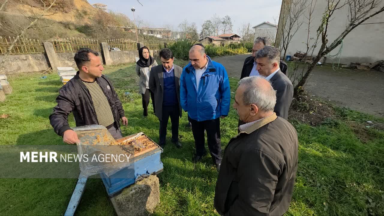 گلشن: حمایت از بخش خصوصی در توسعه زنبورداری گیلان ضروری است گلشن: حمایت از بخش خصوصی در توسعه زنبورداری گیلان ضروری است