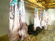 رئیس دامپزشکی کنگان: تأمین گوشت از کشتارگاه‌های مجاز انجام می‌شود