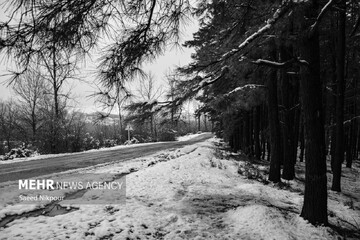 Halhal- Asalem hattında kış güzelliği
