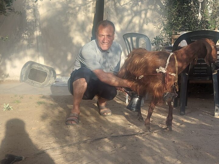 Life under displacement in Gaza: A firsthand visual testimony from Rafah and Deir al-Balah