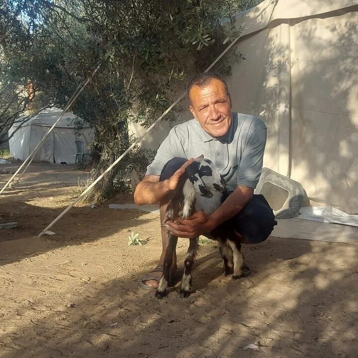 Life under displacement in Gaza: A firsthand visual testimony from Rafah and Deir al-Balah