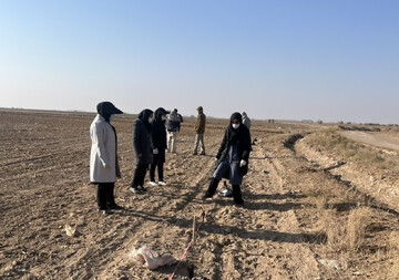 اجرای نخستین طرح انتخاب مشارکتی ارقام گندم در شهرستان سمنان