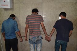 باند حرفه‌ای سرقت محتویات خودرو در باقرشهر متلاشی شد