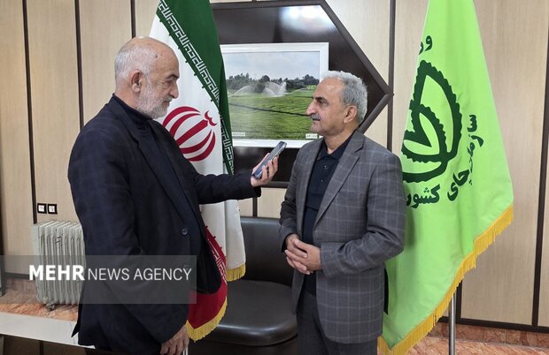 افزایش ۷۱.۵ درصدی قیمت برگ سبز چای درجه یک؛ ۴۰۰ ناظر نظارت دارند