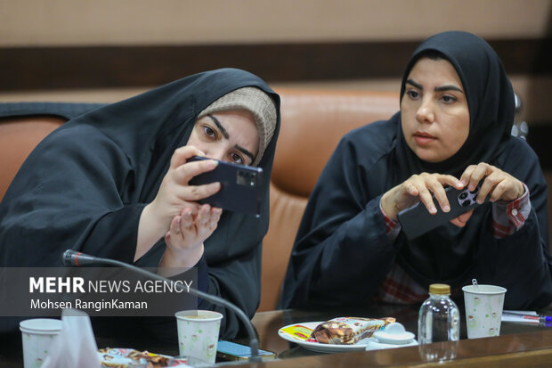 نشست خبری سخنگوی سازمان تعزیرات حکومتی