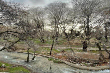 «چشمه قدمگاه» در فارس به عنوان اثر طبیعی ملی ثبت شد