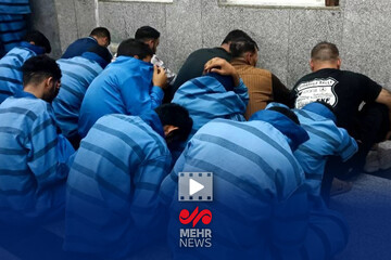 دستگیری ۲۵۳ سارق و کشف ۱ کیلوگرم طلا و ۴۰۰ گوشی همراه